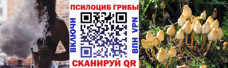 хочу   Северобайкальск  Псилоцибиновые грибы MAGIC MUSHROOMS 